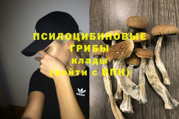 ГАЛЛЮЦИНОГЕННЫЕ ГРИБЫ Кодинск
