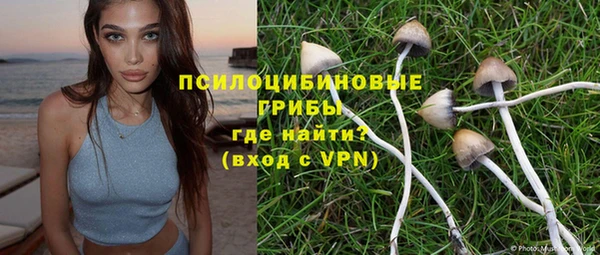 МДМА Козельск