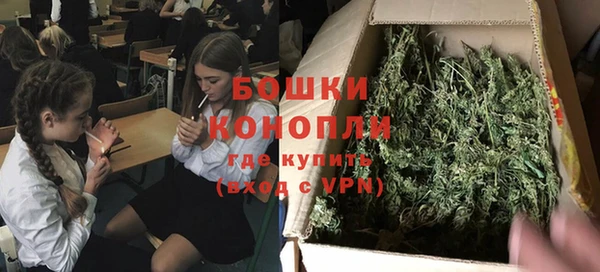 ГАЛЛЮЦИНОГЕННЫЕ ГРИБЫ Кодинск