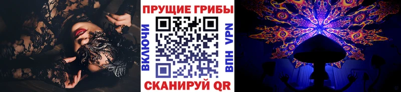 купить наркотик Курлово Псилоцибиновые грибы Magic Shrooms