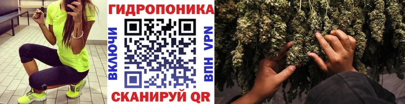 Каннабис LSD WEED где можно купить Курлово
